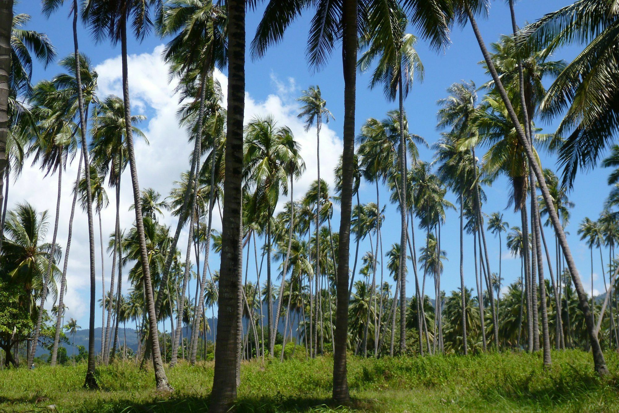 Отель Maenam Hills Samui Маенам Экстерьер фото